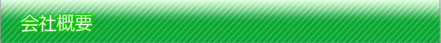ЊTv
