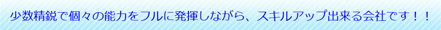 �̗p�T�v